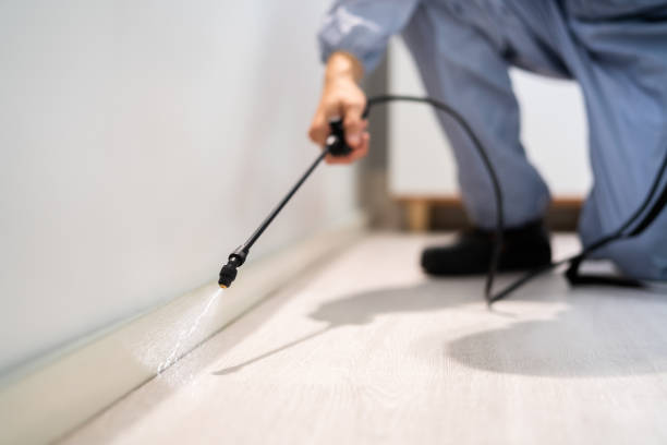 Professional Pest Control in Denver, NC