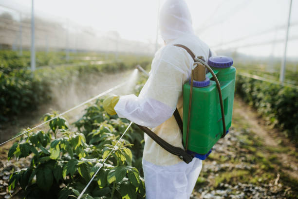 Best Rat Extermination Near Me  in Denver, NC